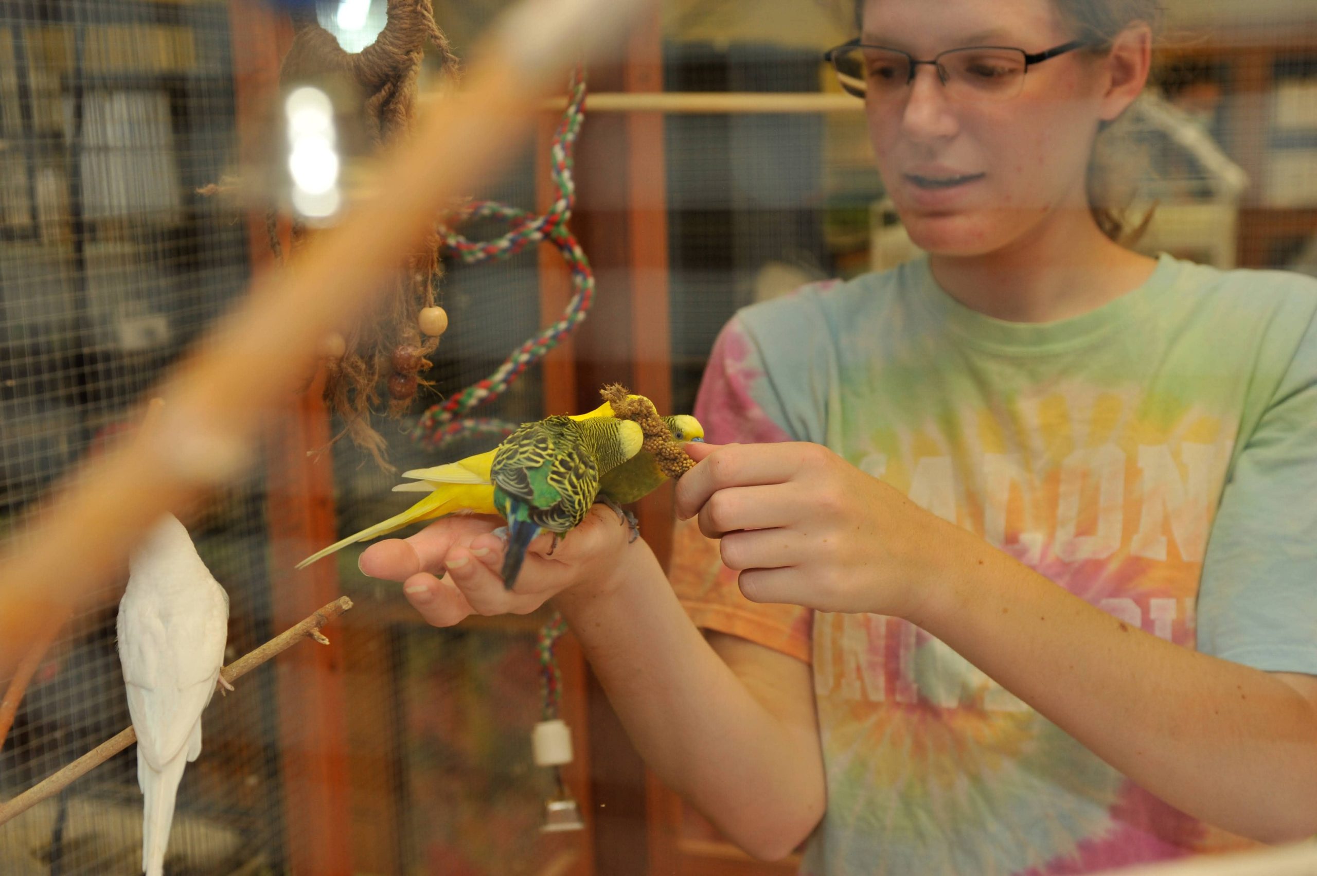 wildlife rehabilitation degree student with birds